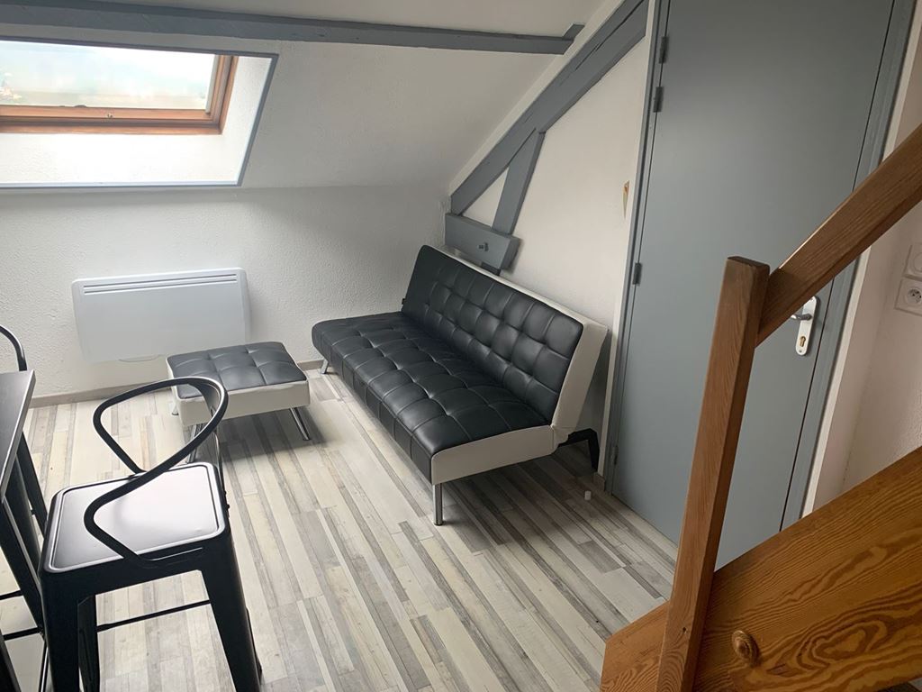 Appartement Studio ECHENOZ LA MELINE 275€ ROUGE IMMOBILIER Appartement Studio ECHENOZ LA MELINE 275€ ROUGE IMMOBILIER