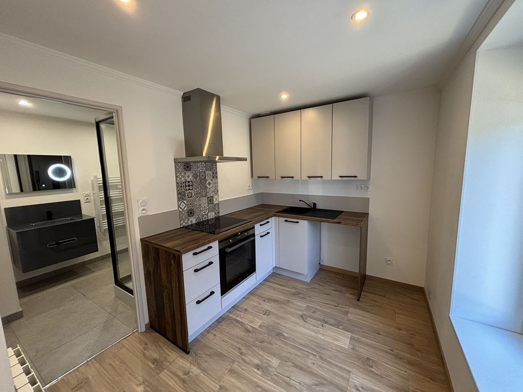 Appartement T2 PORT SUR SAONE 525€ ROUGE IMMOBILIER