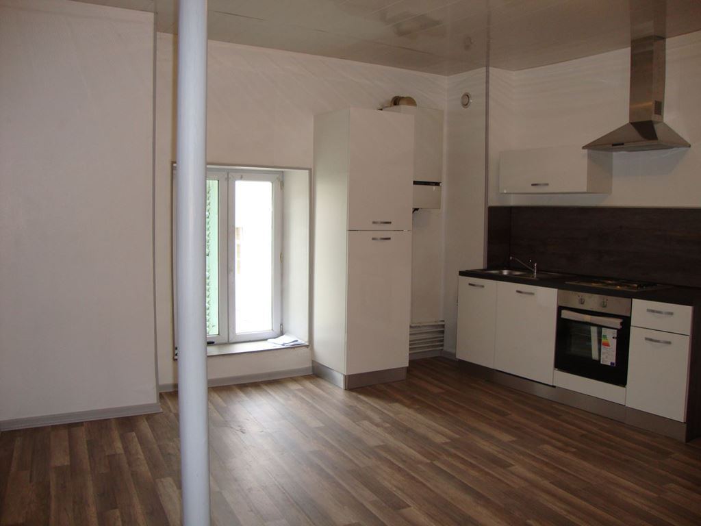 Appartement T2 PORT SUR SAONE 50000€ ROUGE IMMOBILIER Appartement T2 PORT SUR SAONE 50000€ ROUGE IMMOBILIER